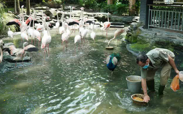 Giám đốc Thảo Cầm Viên: 'Không kêu gọi sự đóng góp từ cộng đồng!'