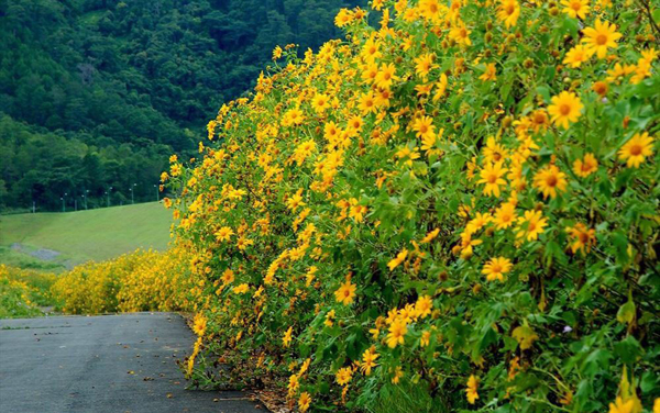 Tiết thu nắng đẹp, chị em đừng bở lỡ 3 điểm vui chơi ngoại thành Hà Nội đảm bảo đủ tiêu chí &quot;ngon bổ rẻ&quot; - Ảnh 8.