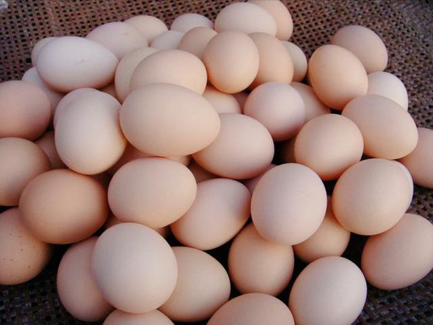  4 sai lầm khi ăn trứng mà nhiều người mắc phải, đặc biệt là 3 cái đầu tiên vừa mất dinh dưỡng vừa tốn tiền - Ảnh 1.