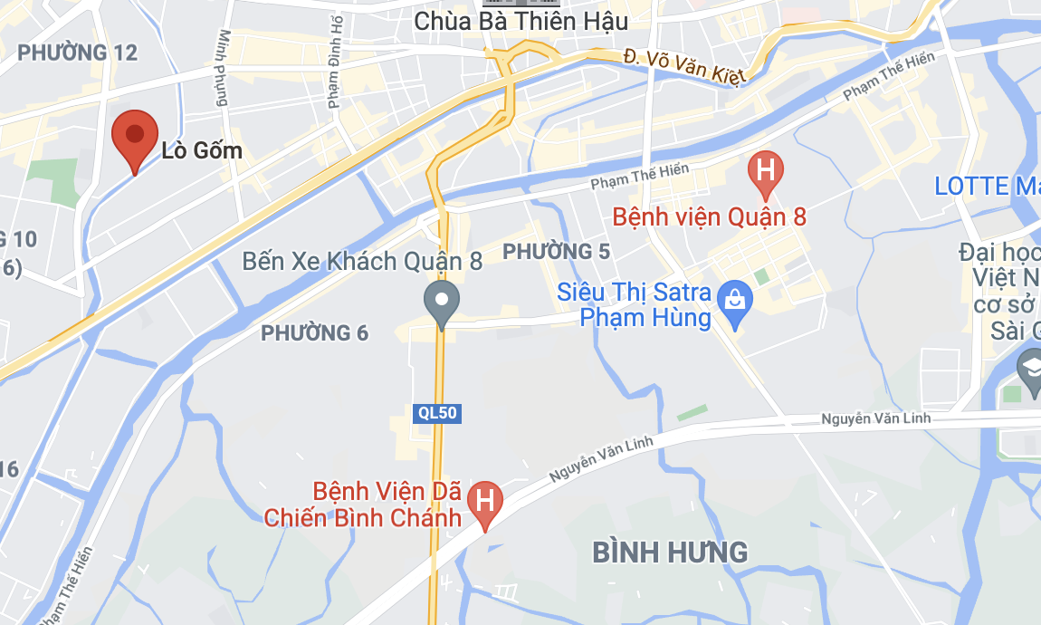 Người dân TP.HCM bắt được cá sấu dưới kênh Lò Gốm - Ảnh 2.