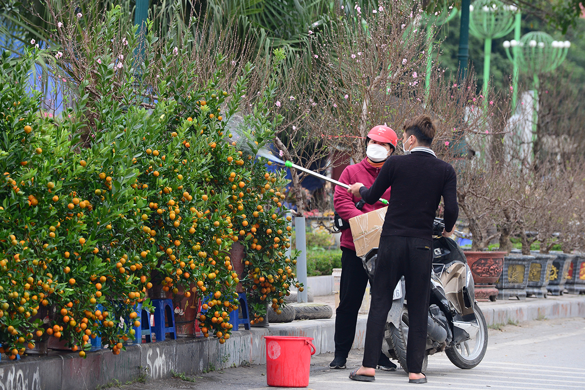 Không khí Tết nhộn nhịp tại khu chợ hoa xuân sớm nhất của Thủ đô  - Ảnh 12.