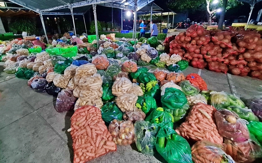 Năm mới và hành trình kiên định những câu chuyện tử tế - Ảnh 1.