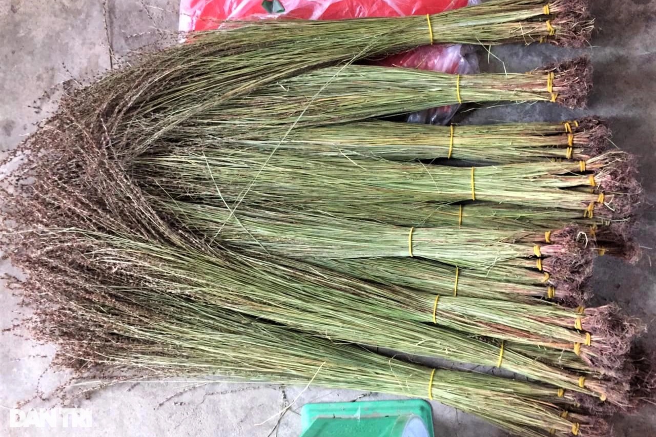 Băng rừng t&igrave;m loại cỏ thơm, chế biến th&agrave;nh m&oacute;n đặc sản kiếm l&atilde;i tiền triệu - Ảnh 1.
