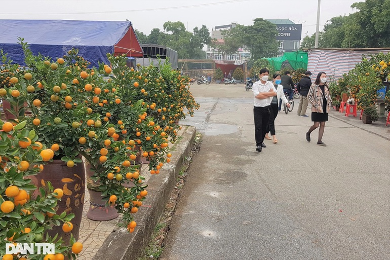 Tin sáng 17/1: Hiện cả nước có bao nhiêu tỉnh/thành là vùng xanh?; đi chợ hoa xuân phải mang căn cước công dân, xét nghiệm COVID-19 ở Ninh Bình - Ảnh 6.