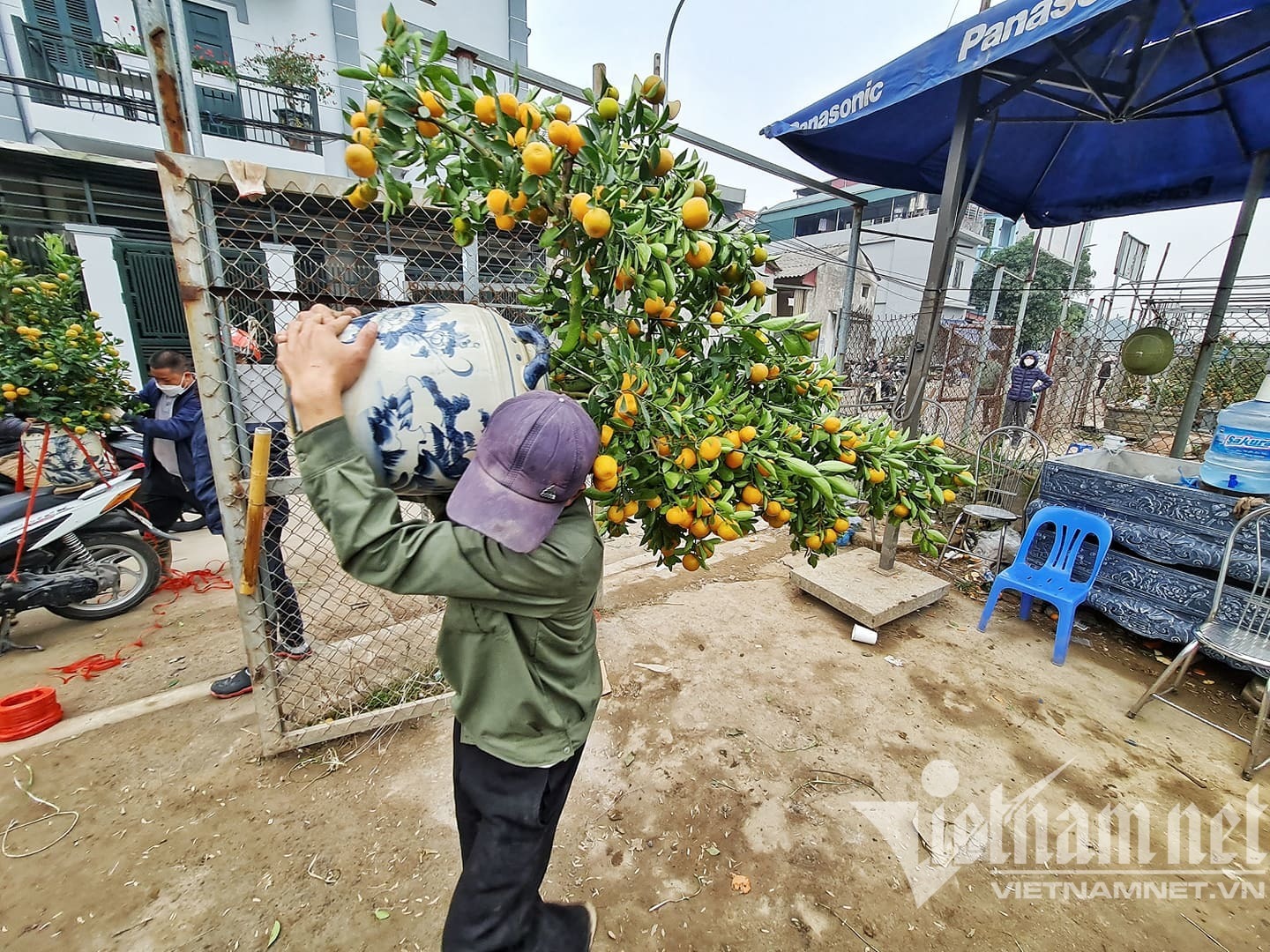 Khách Hà Nội thi nhau đặt quất hình mái nhà tranh, chủ mỏi tay ghi danh sách - Ảnh 13.