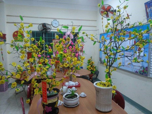 Tất tần tật cách chọn mua, chơi mai, đào bạn phải biết để hoa nở đúng dịp và lâu tàn dịp Tết - Ảnh 4.