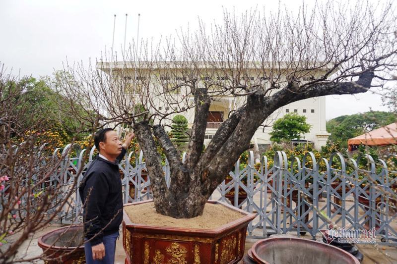 Dầm trong mưa phùn ngóng khách, một cái Tết buồn đang đến - Ảnh 2.