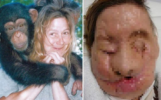 Nuôi tinh tinh làm thú cưng, 14 năm sau người phụ nữ chứng kiến thảm kịch của bạn thân - Ảnh 1.