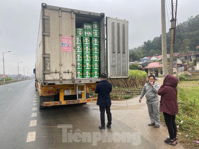 Lạng Sơn mỗi ngày 'giải cứu' hàng trăm tấn trái cây quay đầu - Ảnh 1. Lạng Sơn mỗi ngày '<a href='https://www.giaicuu.com' target='_blank'>giải cứu</a>' hàng trăm tấn trái cây quay đầu - Ảnh 1.