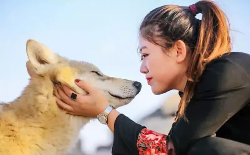 Vô Tình Cứu Sói Mẹ Mang Thai, 1 Năm Sau, Thái Độ Của Bầy Sói Khiến Cô Gái Bất Ngờ