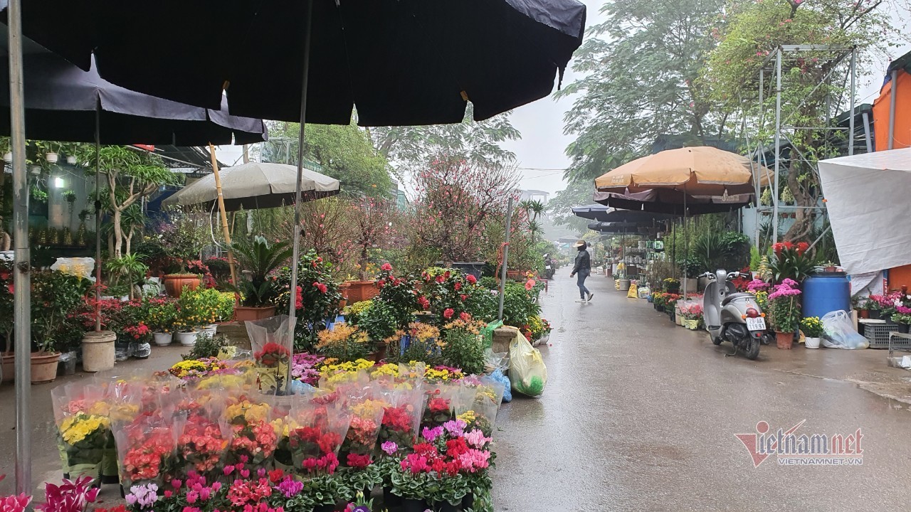 Cảnh hiếm có ở chợ hoa xuân lớn nhất Hà Nội ngày cận Tết - Ảnh 7.