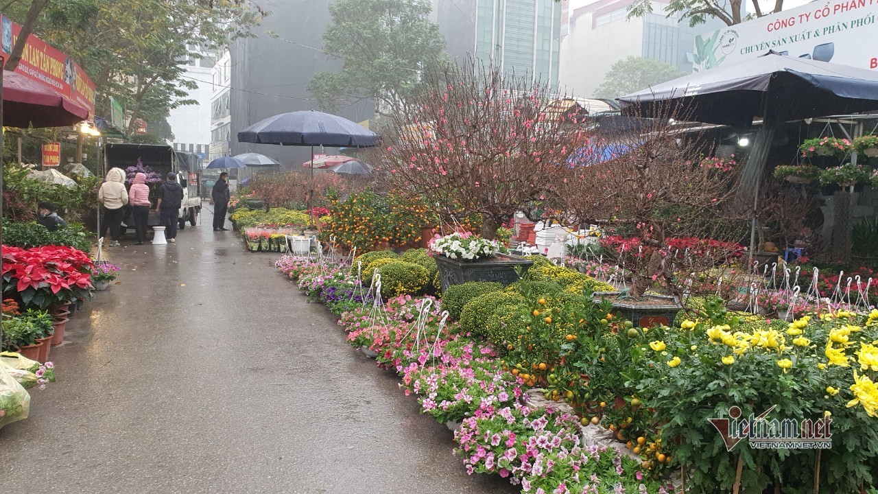 Cảnh hiếm có ở chợ hoa xuân lớn nhất Hà Nội ngày cận Tết - Ảnh 18.