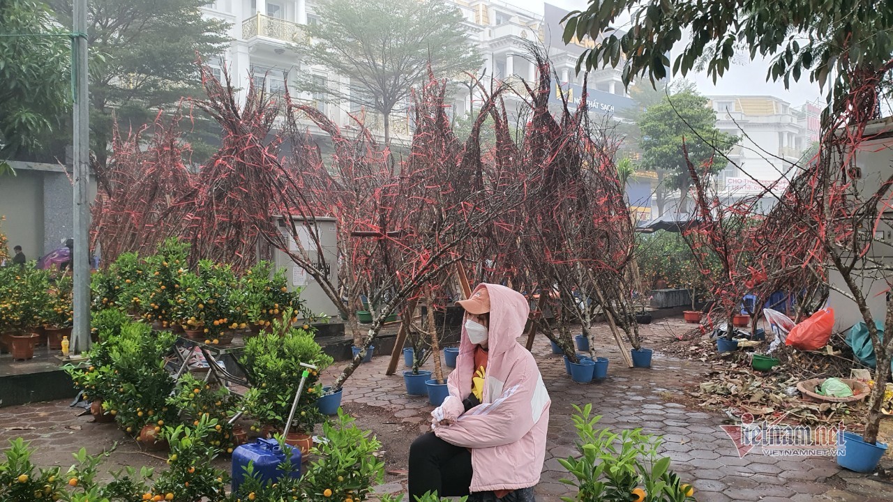 Cảnh hiếm có ở chợ hoa xuân lớn nhất Hà Nội ngày cận Tết - Ảnh 19.