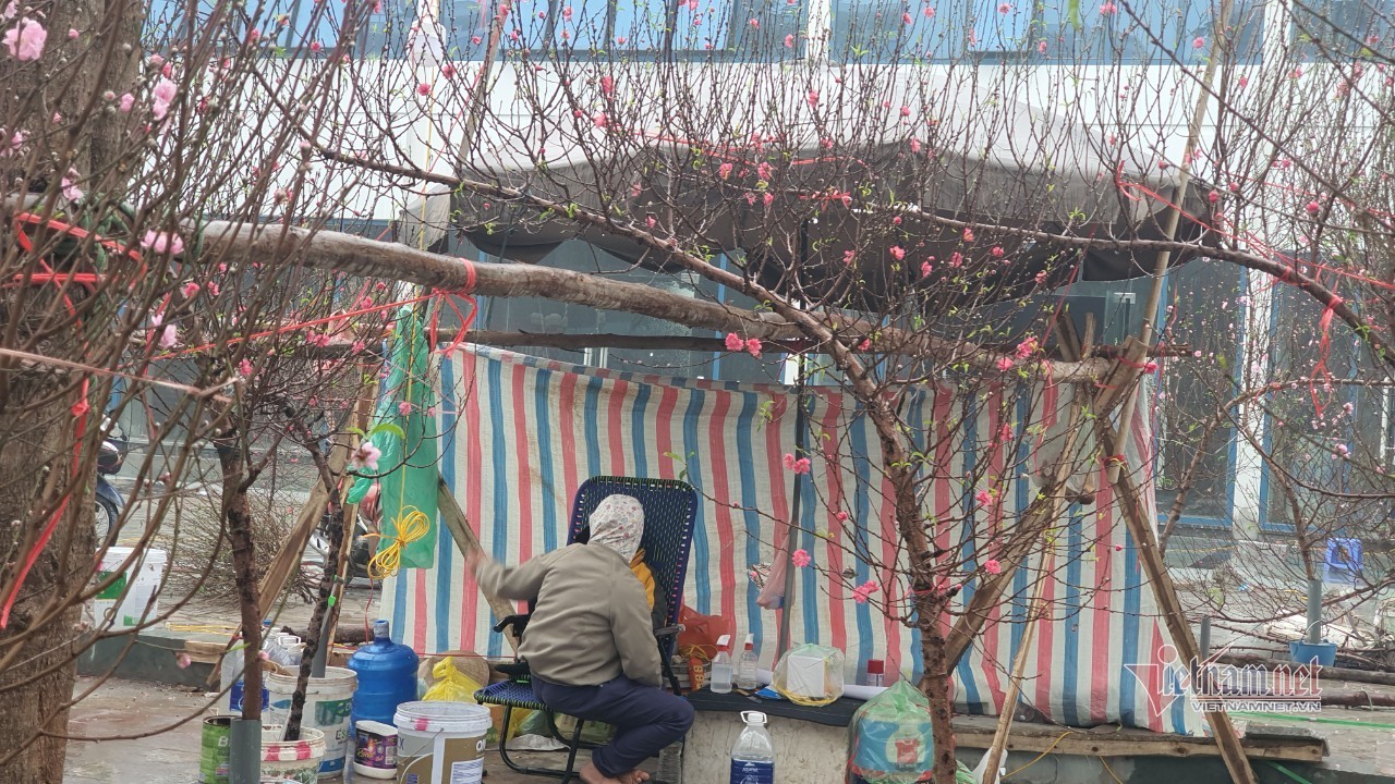Cảnh hiếm có ở chợ hoa xuân lớn nhất Hà Nội ngày cận Tết - Ảnh 20.
