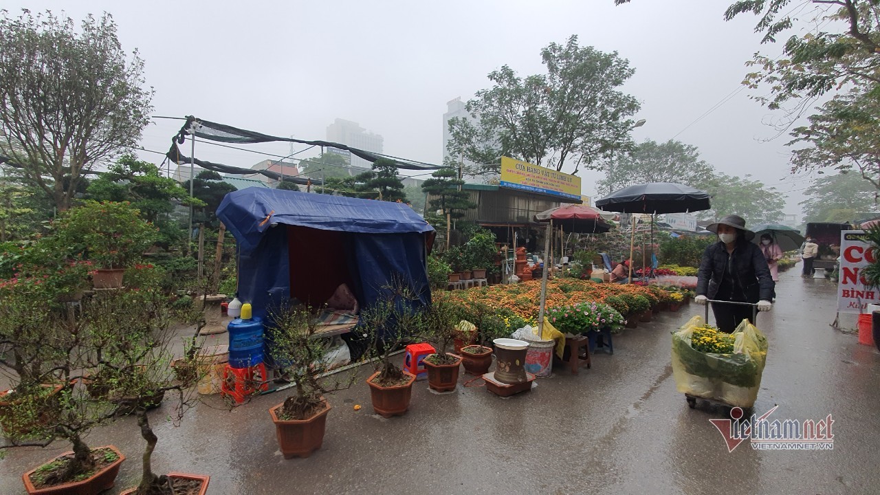Cảnh hiếm có ở chợ hoa xuân lớn nhất Hà Nội ngày cận Tết - Ảnh 1.