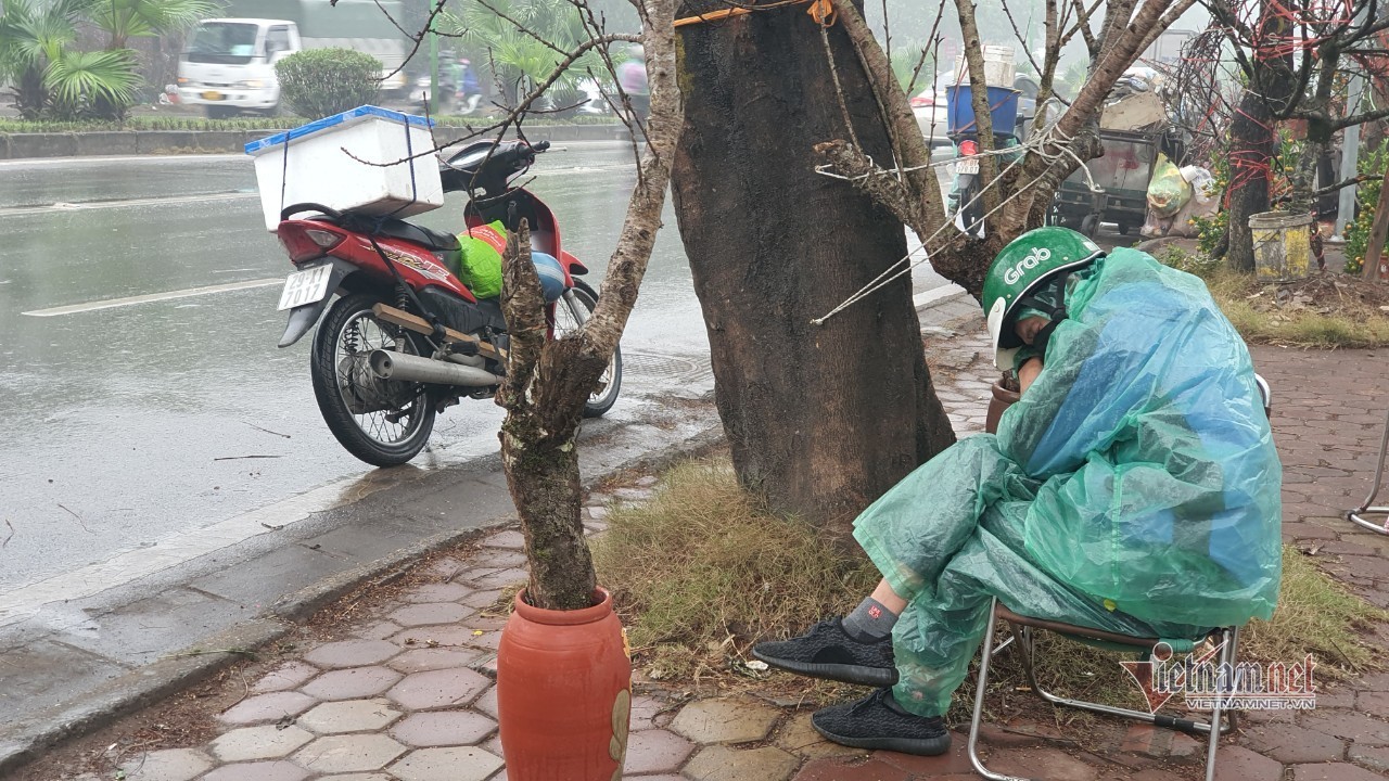 Cảnh hiếm có ở chợ hoa xuân lớn nhất Hà Nội ngày cận Tết - Ảnh 9.