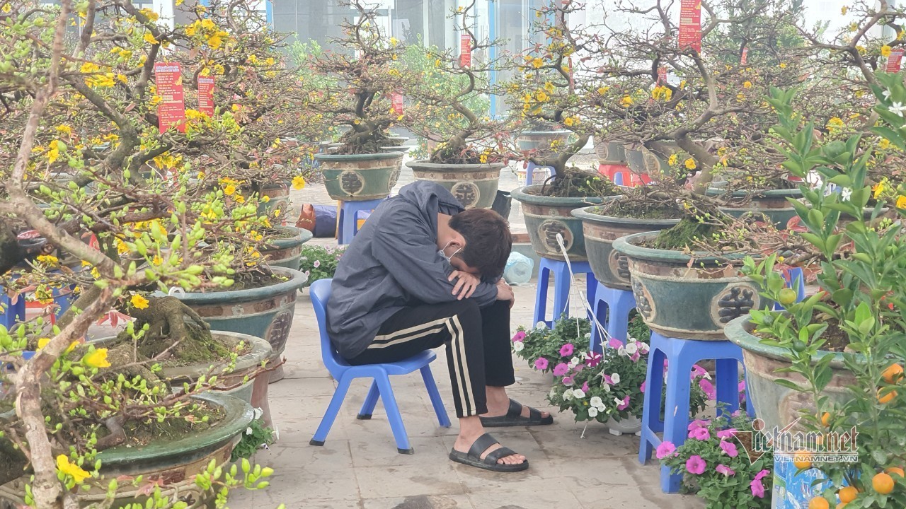 Cảnh hiếm có ở chợ hoa xuân lớn nhất Hà Nội ngày cận Tết - Ảnh 8.
