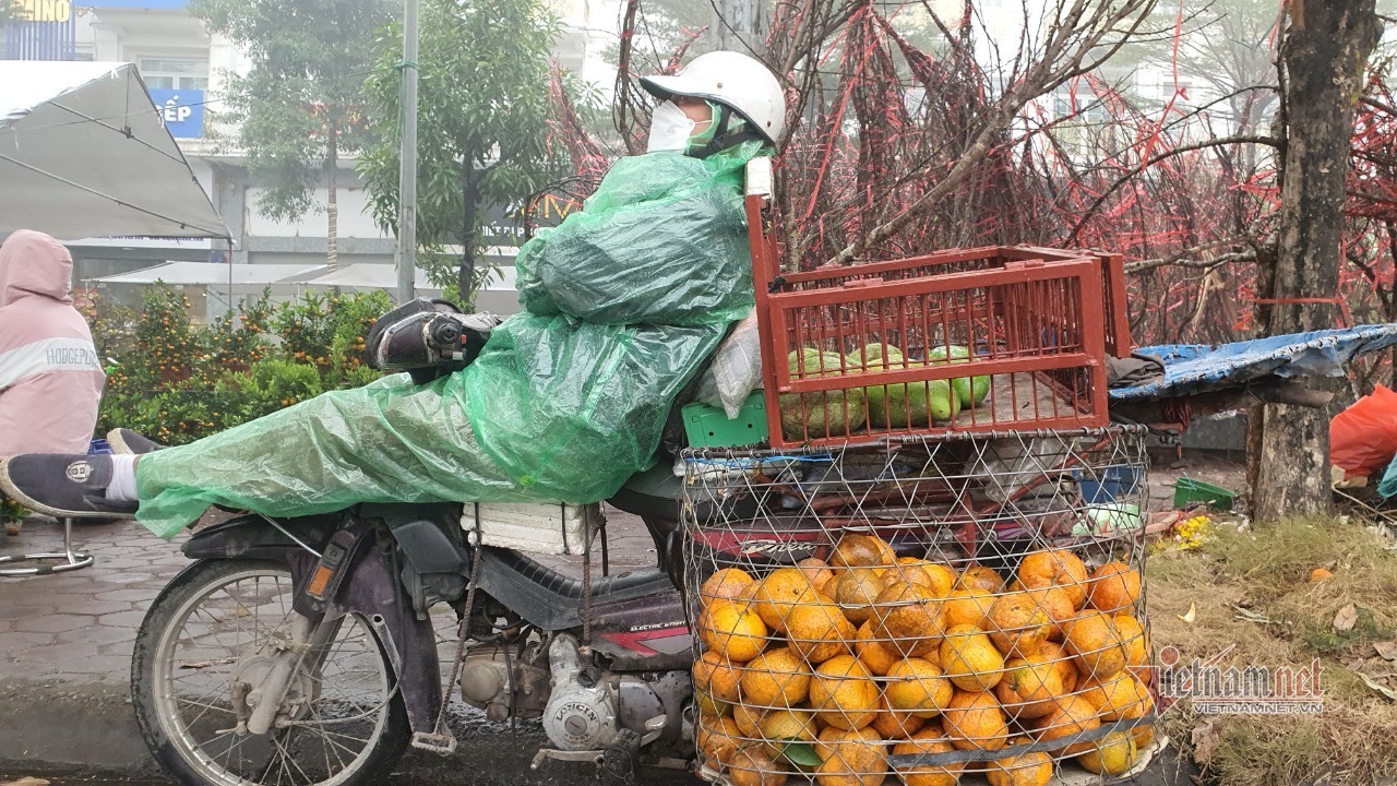 Cảnh hiếm có ở chợ hoa xuân lớn nhất Hà Nội ngày cận Tết - Ảnh 11.