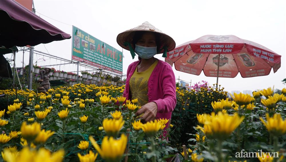 Nỗi lòng người bán hoa: &quot;Không còn cảnh đập chậu ngày 30 Tết là hạnh phúc của chúng tôi&quot; - Ảnh 7.