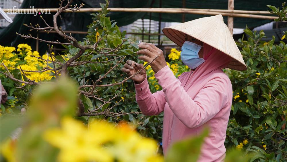 Nỗi lòng người bán hoa: &quot;Không còn cảnh đập chậu ngày 30 Tết là hạnh phúc của chúng tôi&quot; - Ảnh 8.