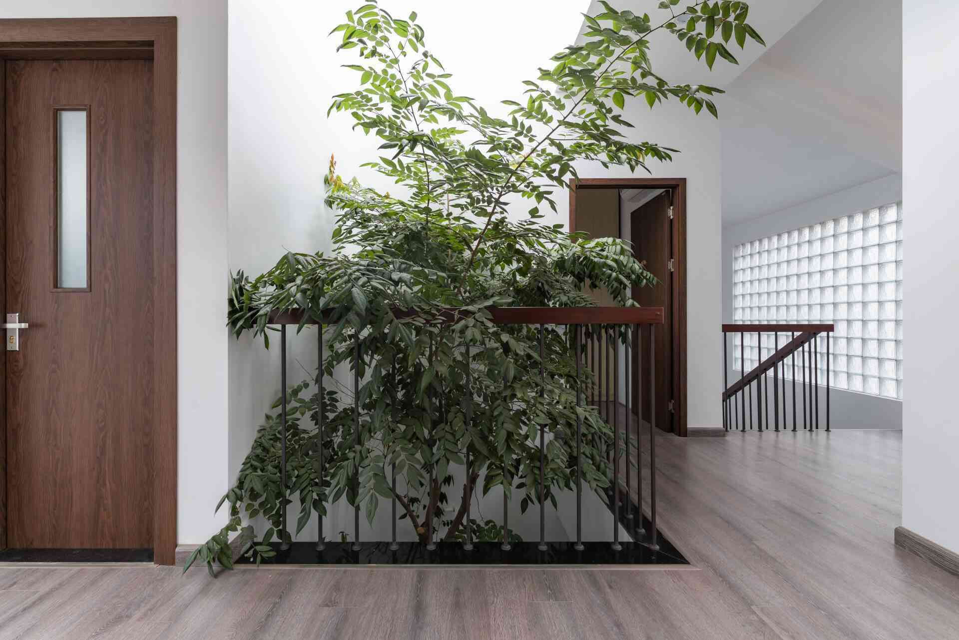 Gia chủ làm biệt thự bên cạnh nhà thờ họ để con cháu sum vầy dịp Tết - Ảnh 6.