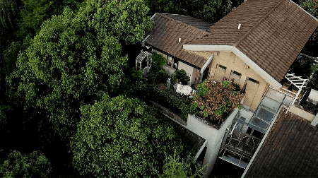 Ngôi nhà đổ nát rộng 185m2 biến thành tổ ấm dịu dàng đầy nắng và cây xanh của gia đình trẻ - Ảnh 1. Ngôi nhà đổ nát rộng 185m2 biến thành tổ ấm dịu dàng đầy nắng và cây xanh của gia đình trẻ - Ảnh 1.