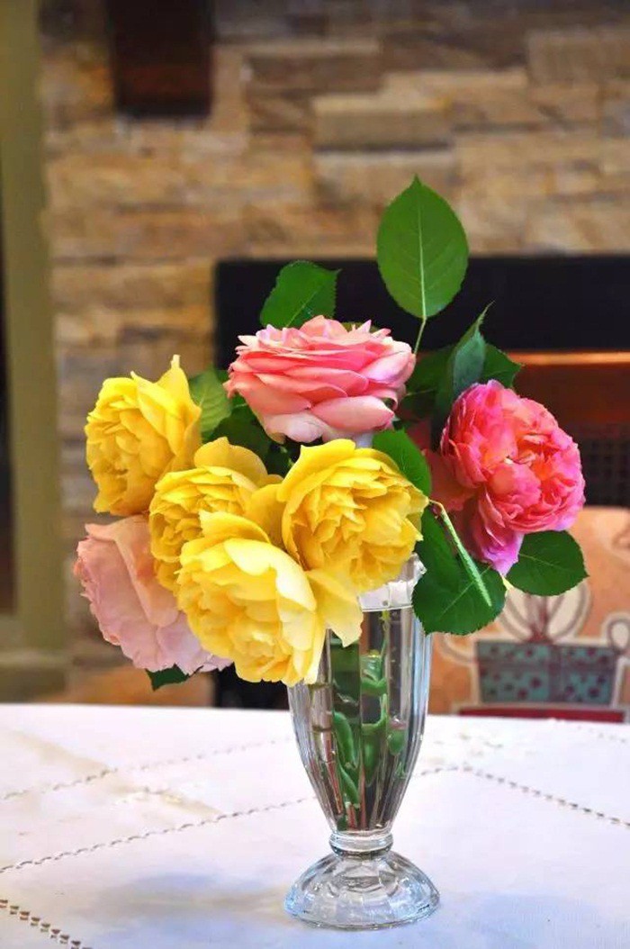 Cuộc sống trọn vẹn niềm vui trong khu vườn nhỏ dịu dàng nét xuân của cô giáo tiếng Anh - Ảnh 7. Cuộc sống trọn vẹn niềm vui trong khu vườn nhỏ dịu dàng nét xuân của cô giáo tiếng Anh - Ảnh 7.