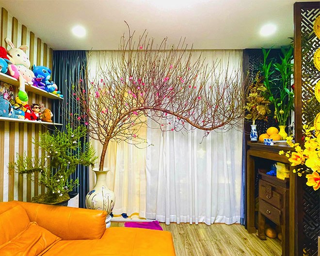 Bỏ qua hoa ngoại nhập, mẹ Việt mua đào trước Tết 20 ngày, mê mẩn ngắm từng cái nụ - Ảnh 3.