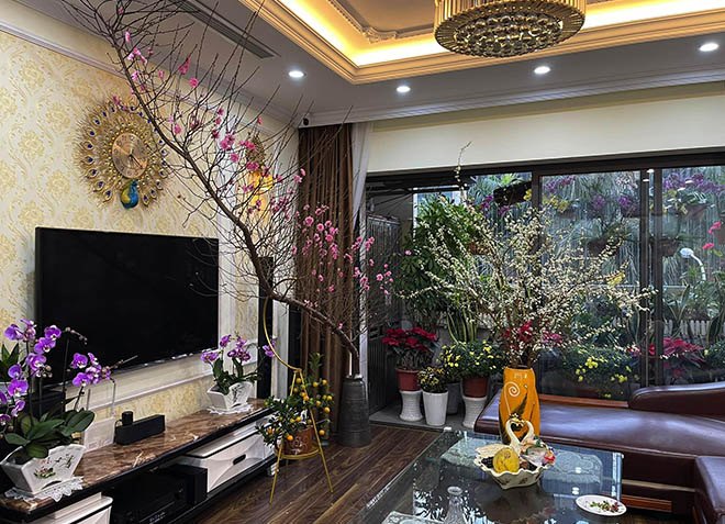 Bỏ qua hoa ngoại nhập, mẹ Việt mua đào trước Tết 20 ngày, mê mẩn ngắm từng cái nụ - Ảnh 10.