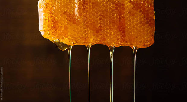 Mật ong chứa nhiều giá trị dinh dưỡng nhưng 3 cách ăn sai lầm mà nhiều người mắc phải sẽ biến mật ong thành thứ độc hại - Ảnh 2.