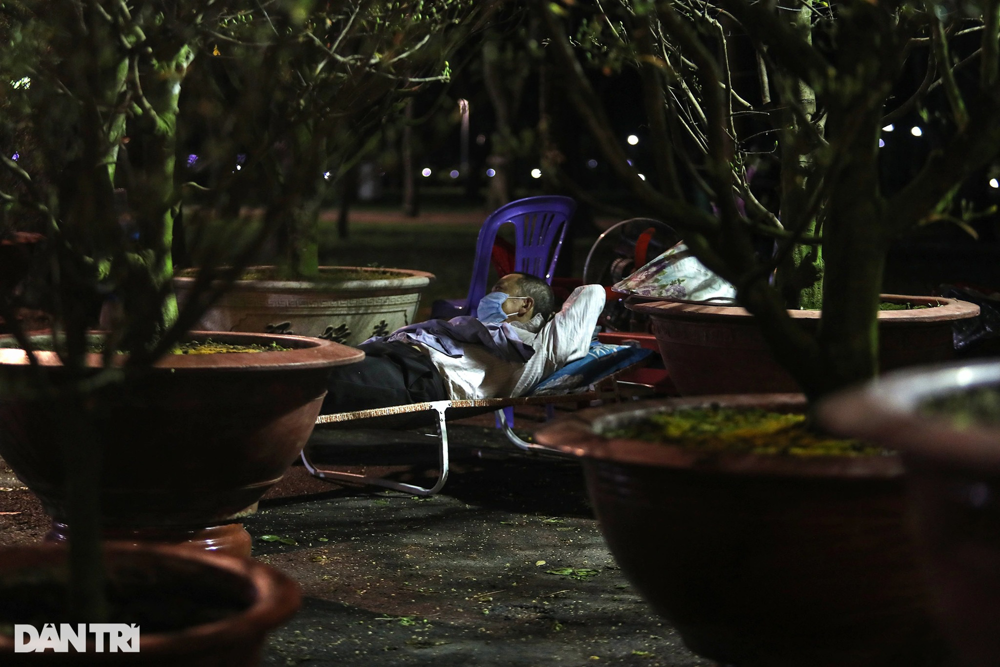 Người bán hoa mắc màn, võng... xuyên đêm canh cây cảnh Tết ở TPHCM - Ảnh 14.