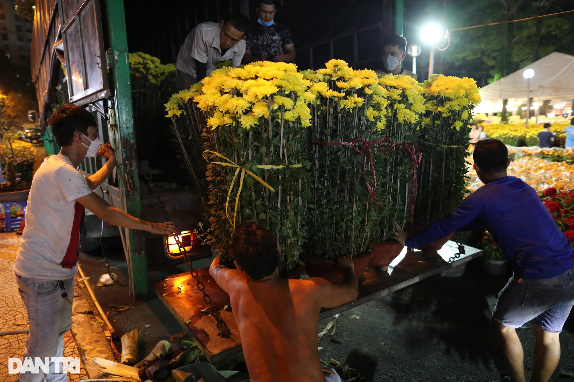 Người bán hoa mắc màn, võng... xuyên đêm canh cây cảnh Tết ở TPHCM - Ảnh 2.