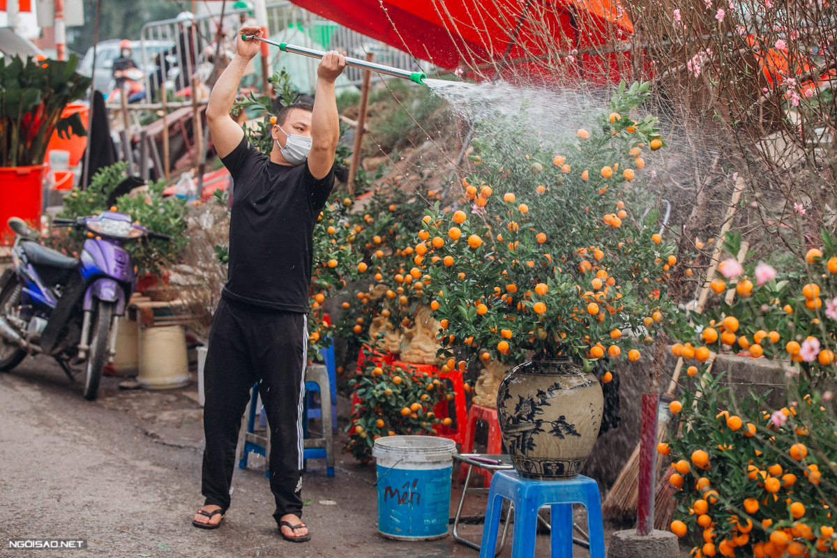 Chợ hoa Quảng B&aacute; tấp nập ng&agrave;y cận Tết - Ảnh 12.
