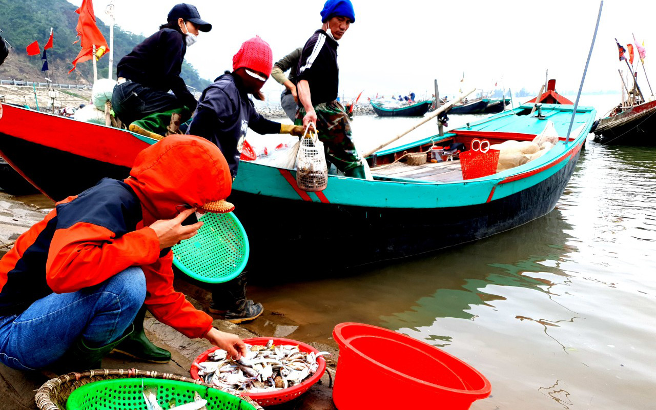 Ra khơi mùa biển biển động, tôm cá về đầy khoang