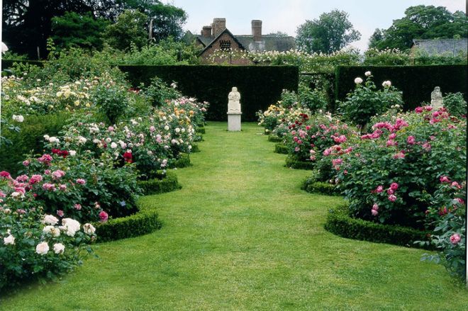 Khu vườn đẹp hơn cổ tích của người được phong danh là &quot;Vĩ nhân hoa hồng của thế giới&quot; - Ảnh 2.