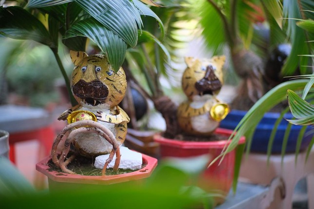 Chiêm ngưỡng dừa bonsai hình hổ thu hút khách trước Tết Nhâm Dần - Ảnh 4.
