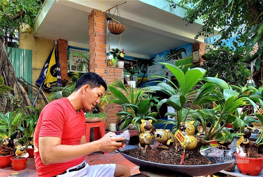 Hổ vằn ôm gốc dừa, bonsai độc giá 3 triệu đồng chơi Tết - Ảnh 3. Hổ vằn ôm gốc dừa, bonsai độc giá 3 triệu đồng chơi Tết - Ảnh 3.