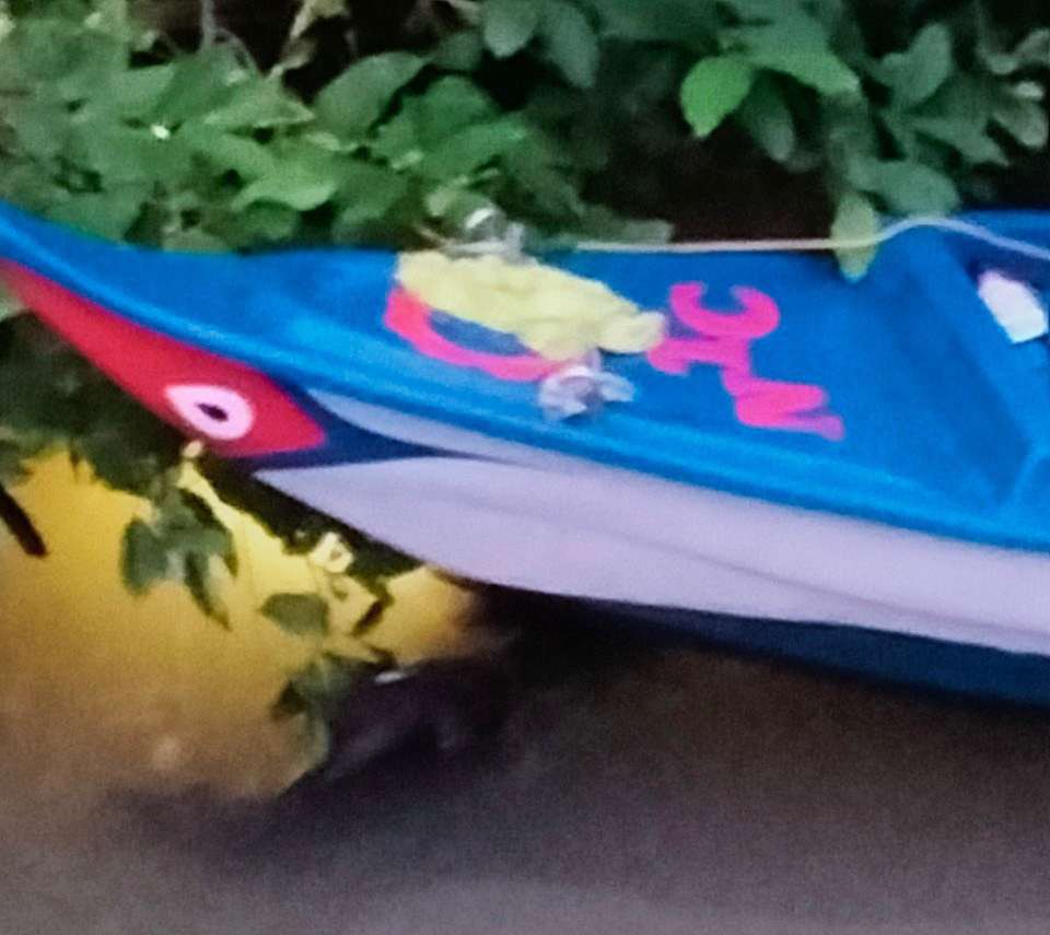 Người đ&agrave;n &ocirc;ng tử vong nằm &uacute;p mặt xuống nước, cơ thể c&oacute; vết ch&aacute;y s&eacute;m - Ảnh 1.