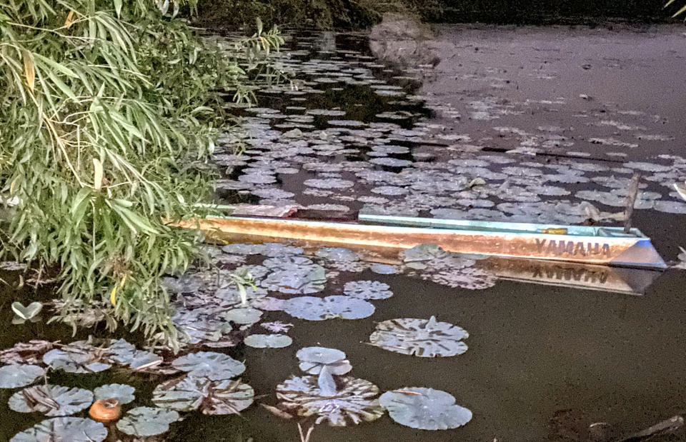 Ch&egrave;o thuyền đi h&aacute;i b&ocirc;ng s&uacute;ng, nam thanh ni&ecirc;n tử vong - Ảnh 1.