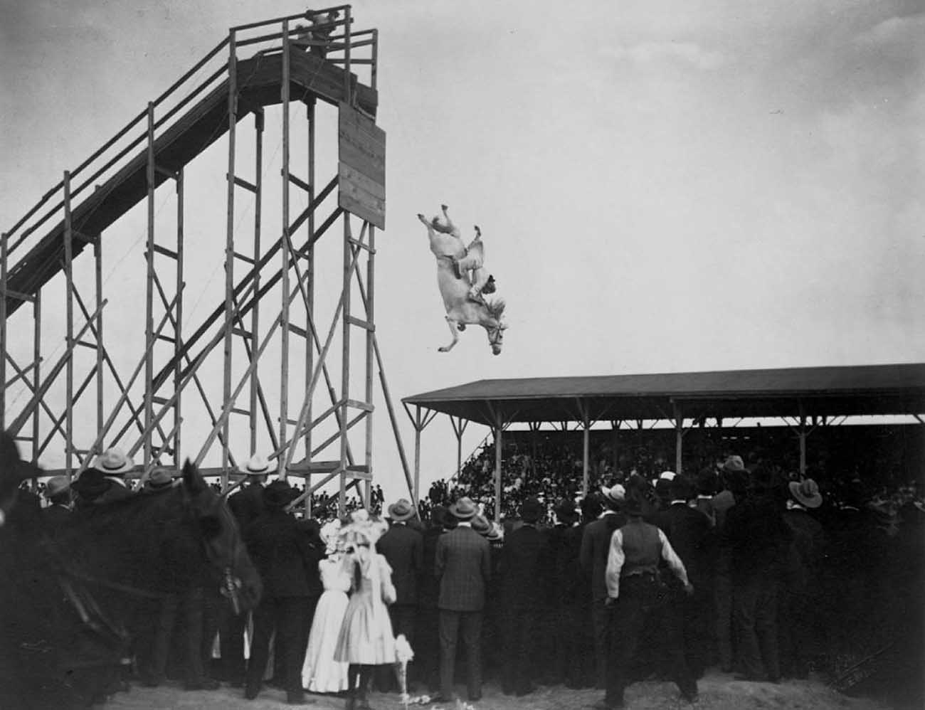 Ngựa lặn: Môn thể thao nguy hiểm ở thế kỷ 19