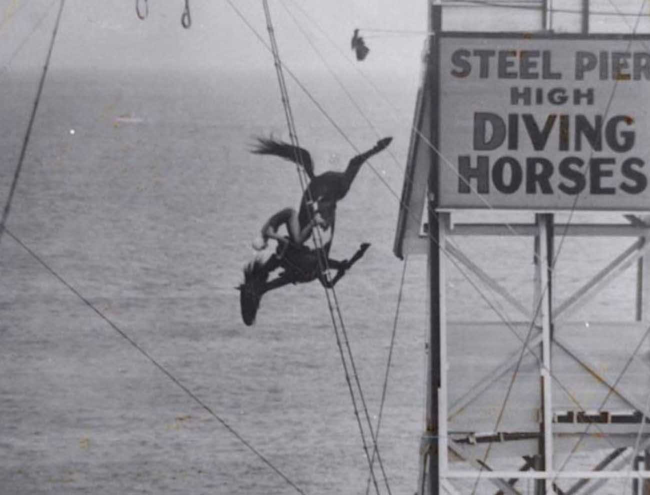 Ngựa lặn: Môn thể thao nguy hiểm ở thế kỷ 19