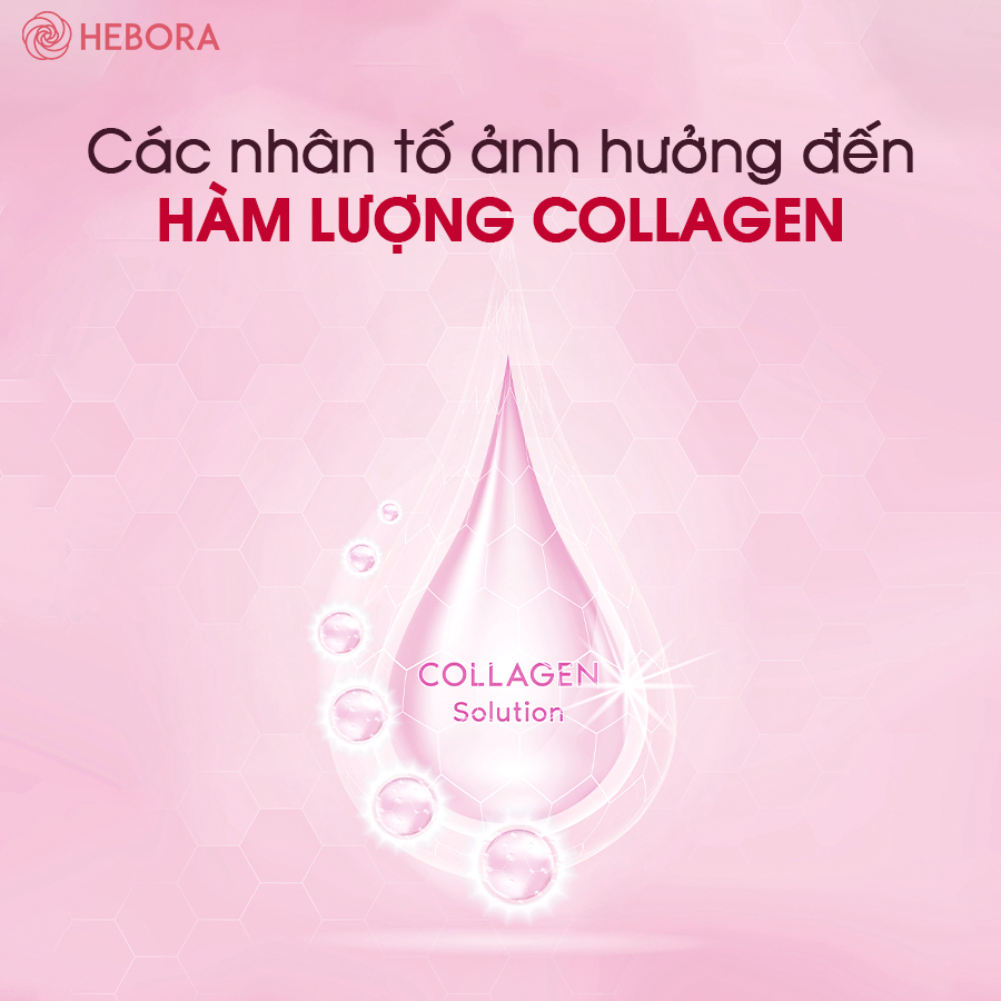 Chuyên gia khuyến cáo hàm lượng collagen nên bổ sung mỗi ngày - Ảnh 1.