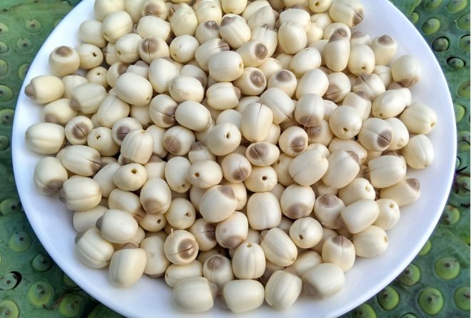 Quá ít người biết nấu món cháo hàu rẻ tiền, dễ nấu, bổ dưỡng 'ông ăn bà khen' lại không tanh tẹo nào - Ảnh 5. Quá ít người biết nấu món cháo hàu rẻ tiền, dễ nấu, bổ dưỡng 'ông ăn bà khen' lại không tanh tẹo nào - Ảnh 5.