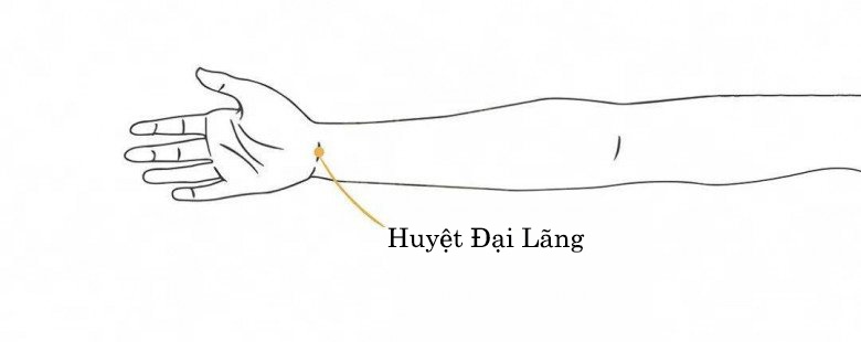 Ấn nhẹ vào 5 vị trí này, dạ dày tức khắc khỏe, đỡ tốn tiền mua thuốc - Ảnh 5.