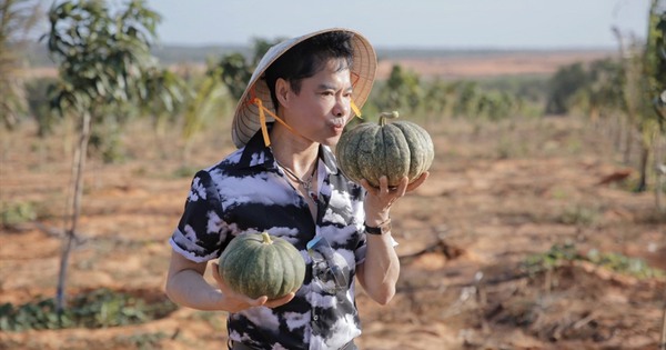 Té ngửa về thông tin ca sĩ Ngọc Sơn sở hữu 50 ha đất ở Bình Thuận