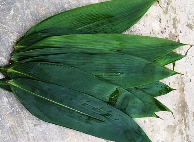 Bất ngờ 3 loại l&aacute; xưa vứt đi nay gi&uacute;p người d&acirc;n 'hốt bạc' - Ảnh 10.