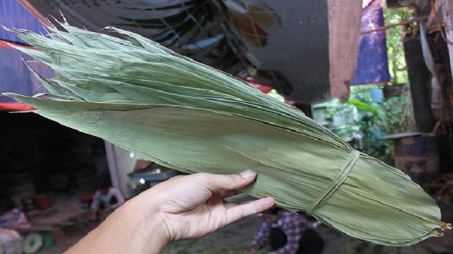 Bất ngờ 3 loại l&aacute; xưa vứt đi nay gi&uacute;p người d&acirc;n 'hốt bạc' - Ảnh 12.