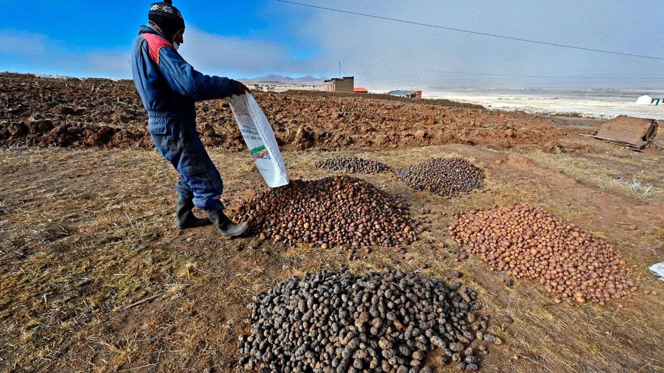 chuno-bolivia-16663377060081932195026-1666567435538-16665674356271243754888.jpg