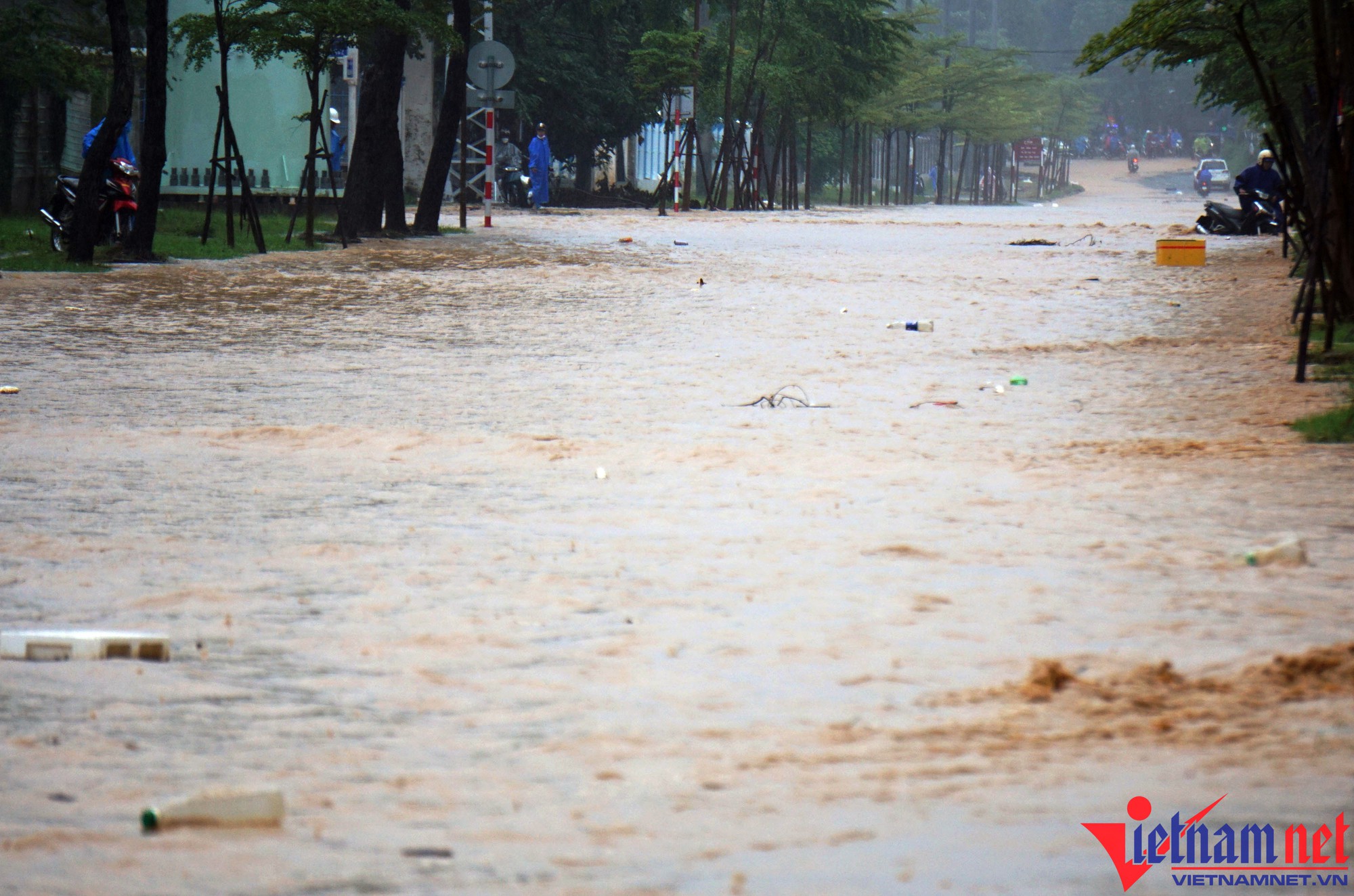 Mưa như trút, nhiều tuyến đường ở Đà Nẵng ngập sâu - Ảnh 2.