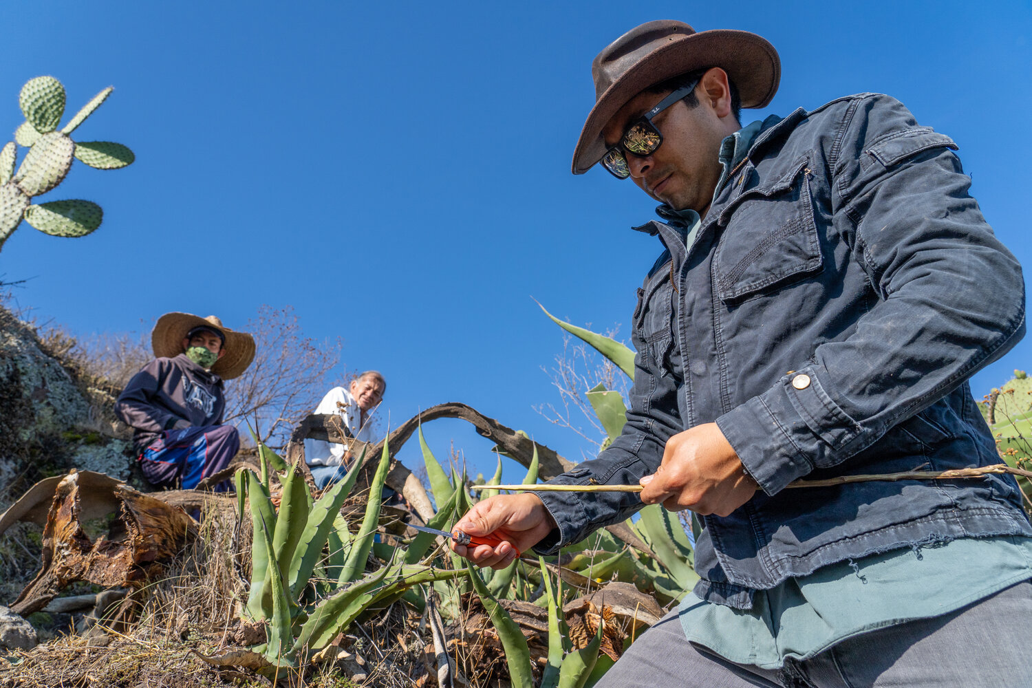 Món ăn độc đáo bậc nhất ở Mexico, không nơi nào có được, người dũng cảm mới dám thử - Ảnh 3.